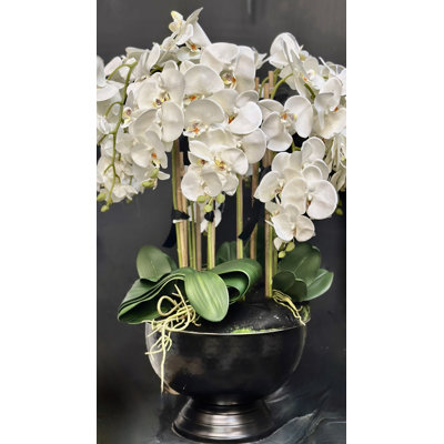 Silk Orchid Arrangement in Planter
