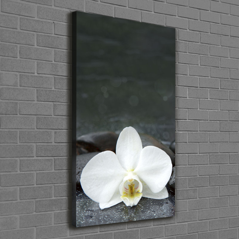 Orchid Stones - Wrapped Canvas Print