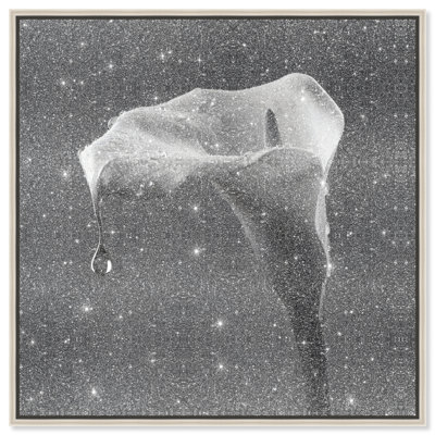 Midnight Rain Floral & Botanical Canvas Print by Oliver Gal, Black Frame, 12 x 12