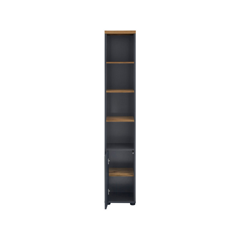 Neftaly Display Cabinet, Anthracite/Oak