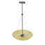 Luminaire suspendu inversé 24 po Cypola