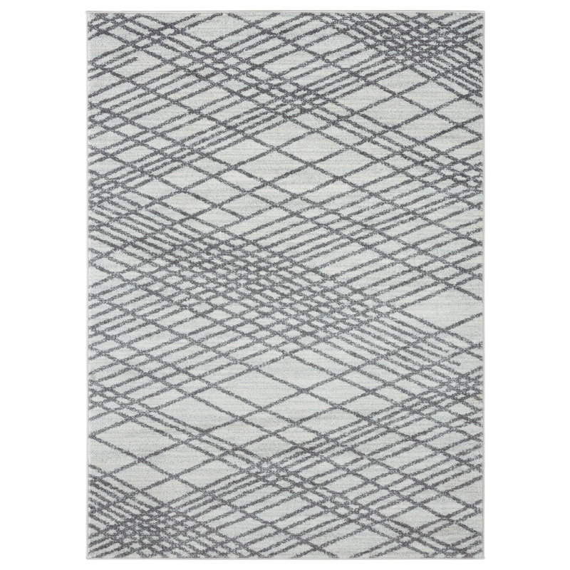Drubin Abstract Indoor Rug, Rectangle 8' x 10'