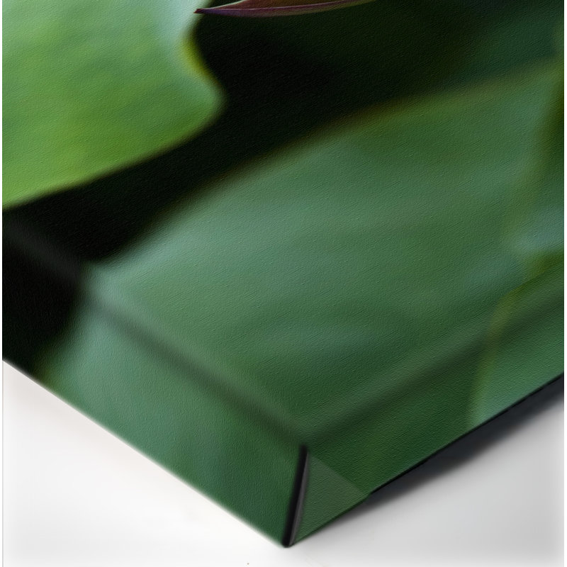 Fleur de lotus - reproduction de photo sur toile tendue, H 30 po x l 20 po x P 1 po