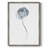 Tulip II Framed Print - Solid Wood-1790991328