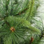 Arbre de Noël artificiel pin 3 'Ashcroft Cashmere
