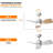 Gupta 32'' Ceiling Fan with LED Lights