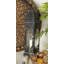 Lanterne en fer haute-1226918995-1226918994
