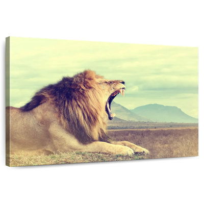 Lion féroce safari Brampt