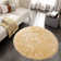Chastina Faux Sheepskin Indoor Rug