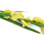 Silk Iris Arrangement-31151100-31151102