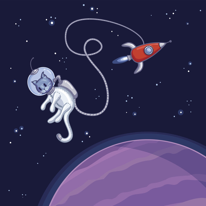 Space Cat by Obaba - Wrapped Canvas Print, 122cm H x 122cm W