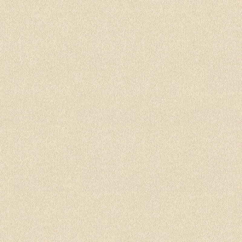 Rouleau de papier peint L 33 pi x l 27 po Boersma, Beige