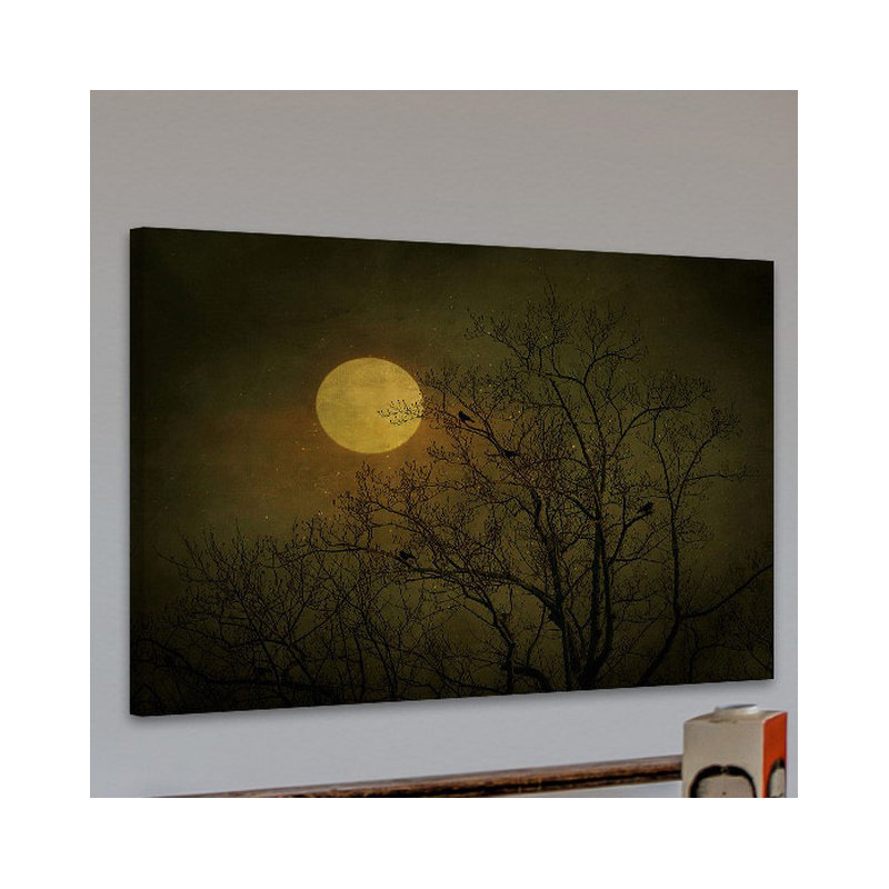 « starry night » par robert dickinson, reproduction de photo sur toile tendue, H 30 po x l 39 po x P 1,5 po