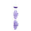 Carillon Avroham-30690543