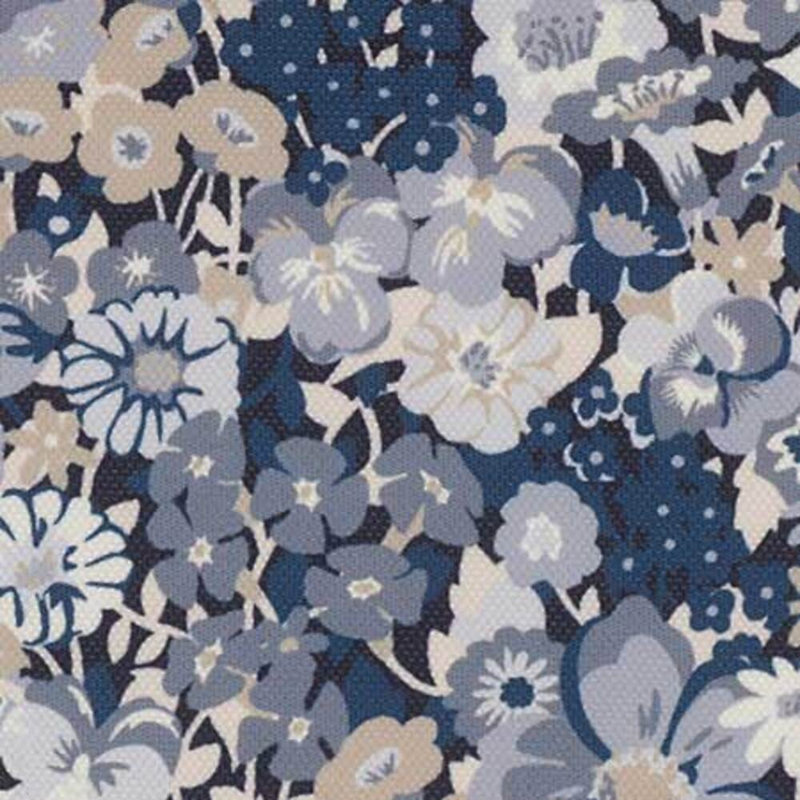 Trix extérieur, Bleu