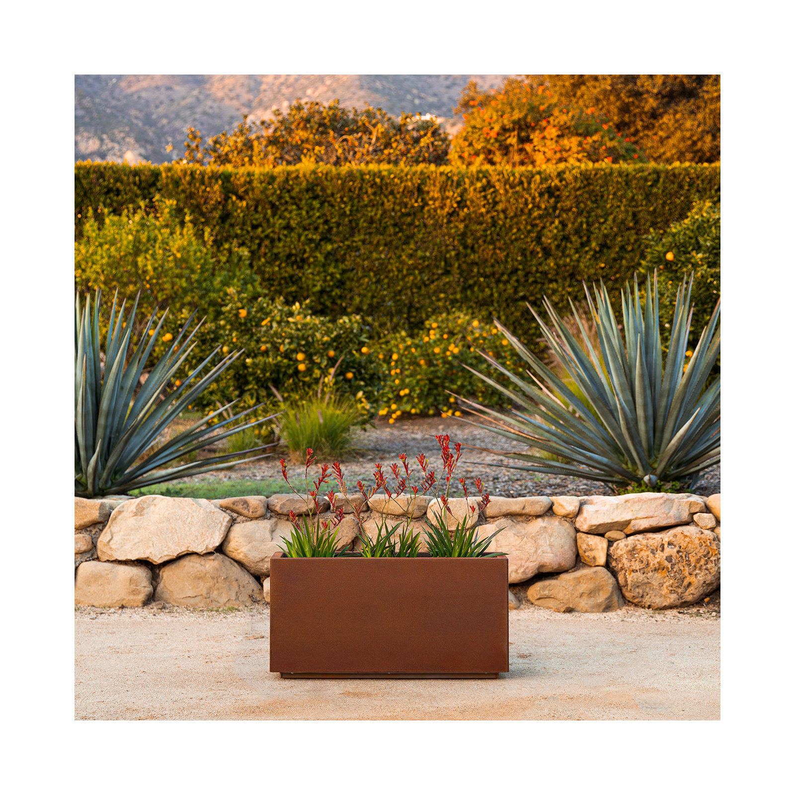 Corten Steel Series Long Box Planter, 13" H x 25" W x 11" D