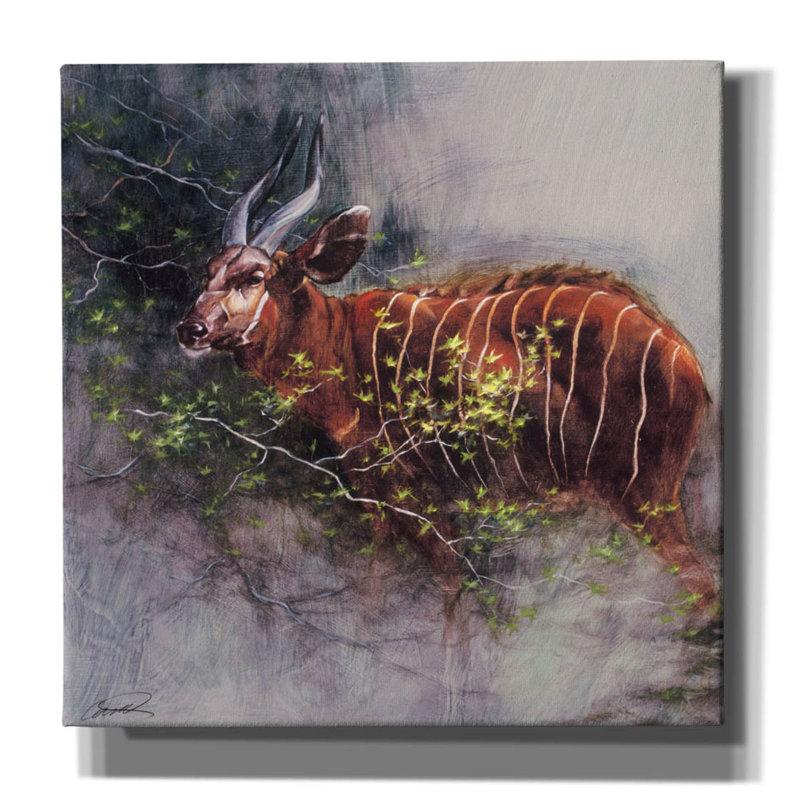 «Bongo in the Brush» par Robert Campbell, art mural sur toile, H 26 po x l 26 po x P 1,5 po