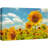 Sunflower " Summer Spring Sunflower Field "-99542945