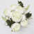Cream White
