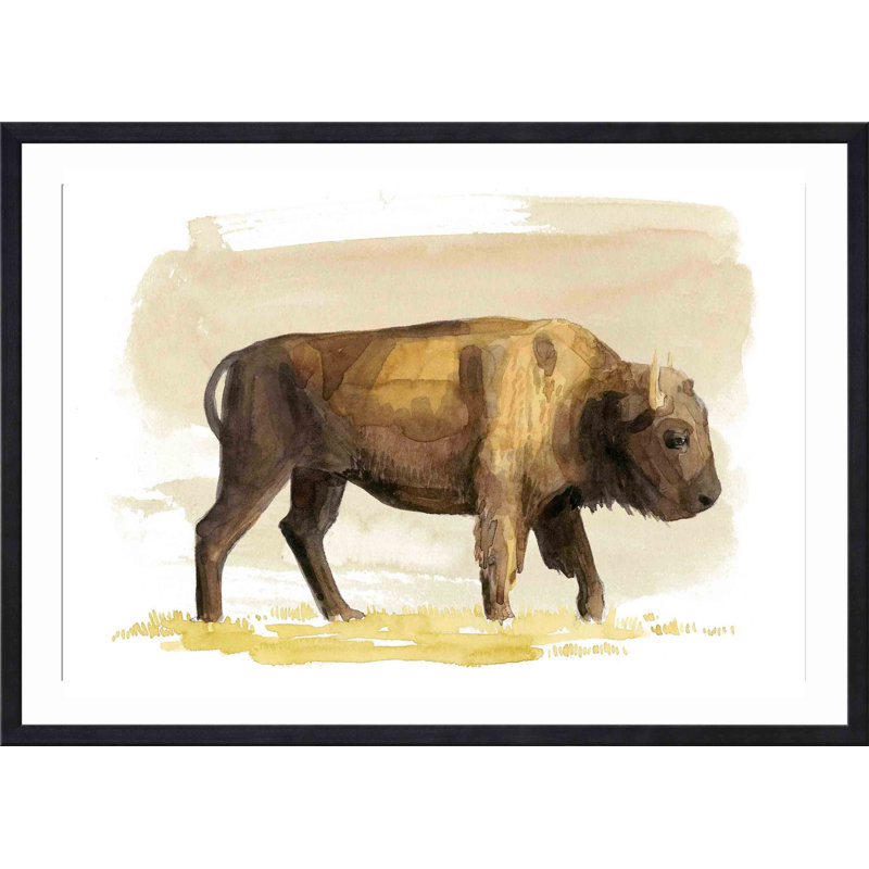 «Bison S croquis I» par Grace Popp - peinture encadrée, H 30 po x l 30 po, Noir