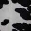 Cowhide Rug Black And White