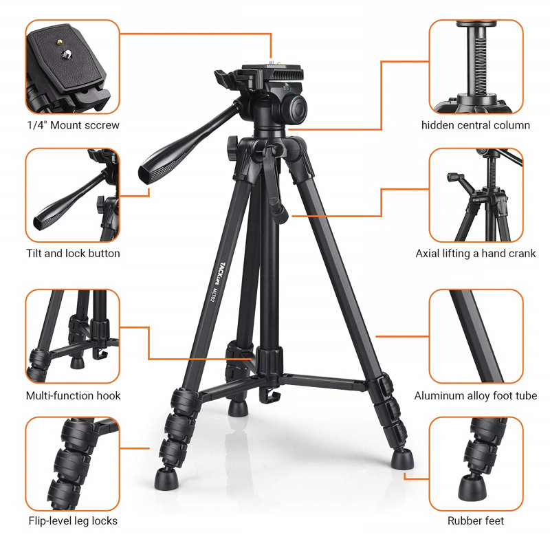 Intexca Single Screen Floor Stand Mount