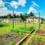 50ft Garden Wire Mesh, 15.2m PVC-Coated Welded Wire Fencing for Garden and Poultry Enclosures-130418086