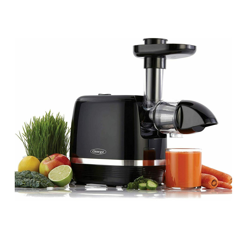 Omega Cold Press 365 Compact Masticating Horizontal Juicer, Black