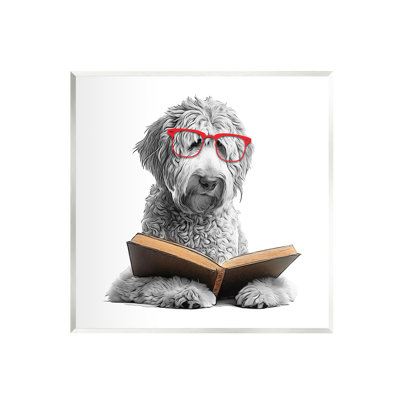 Az-046-Livre de lecture pour chien encadré