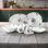 Ramsha 45-piece Porcelain Dinnerware set, white embossed & 24k gold trim (service for 8)