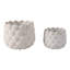 Jardinières coquillage, blanc, 2 pièces