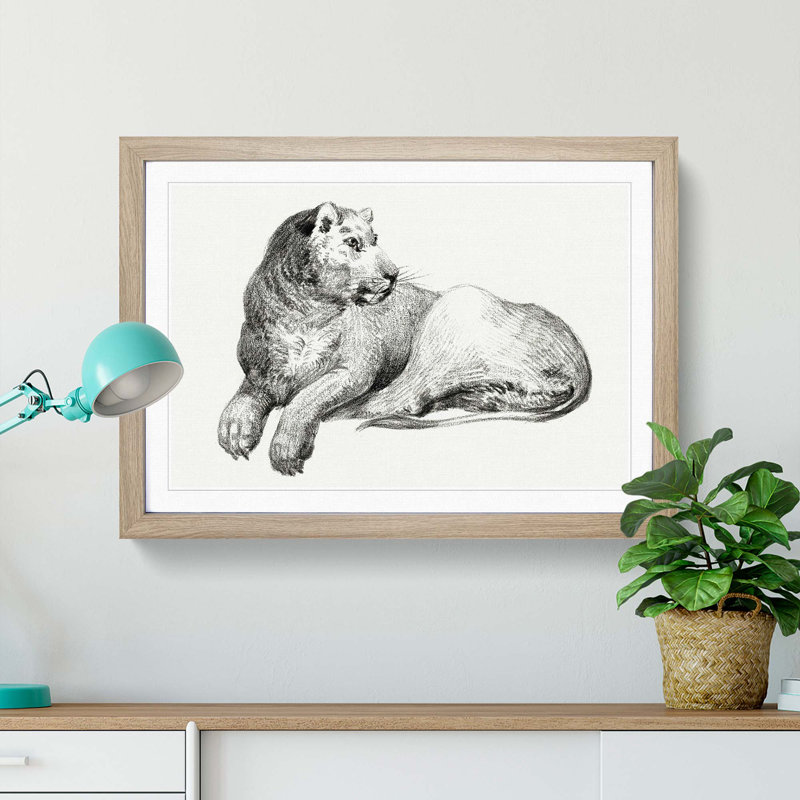 Young Lion by Jean Bernard - Picture Frame Drawing Print, 48cm H x 65cm W x 2cm D, Oak Framed