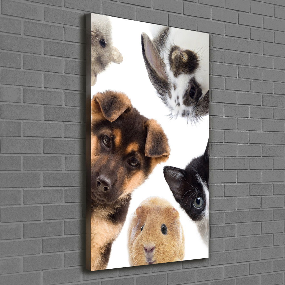 Haustiere - Kunstdruck auf Leinwand - Wrapped Canvas