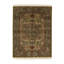 Wool Oriental Area Rug in Gold