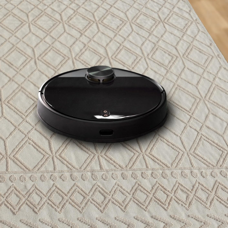 Indoor Area Rugs Low Pile Bedroom Rug Non Slip Floor Mat Washable Carpet Pads for Living Room A0120, Rectangle 60 x 90 cm