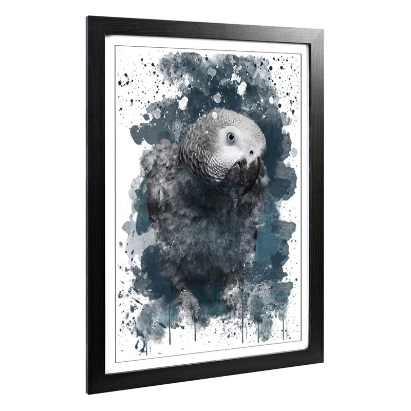 African Grey Parrot - Wall Art, 62cm H x 45cm W, Framed Picture