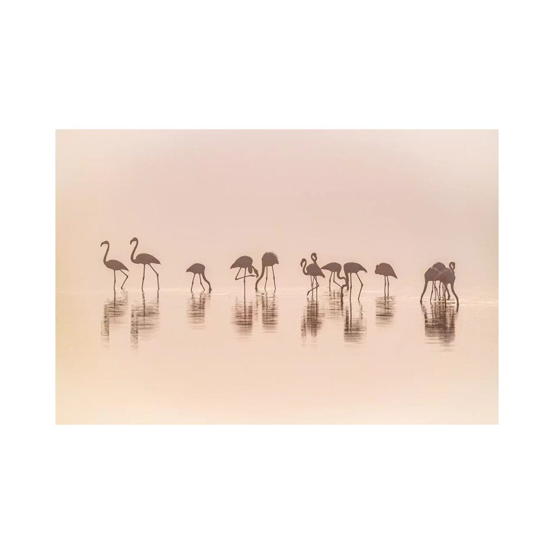 Flamingos In The Mist by Jeffrey C. Sink - Wrapped Canvas Print, 20.32cm H x 30.48cm W x 1.91cm D