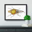 Hercules Beetle by George Shaw - Picture Frame Graphic Art Print-55641727-55641731