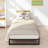 5 Inch Metal Platform Bed Frame-1168638884