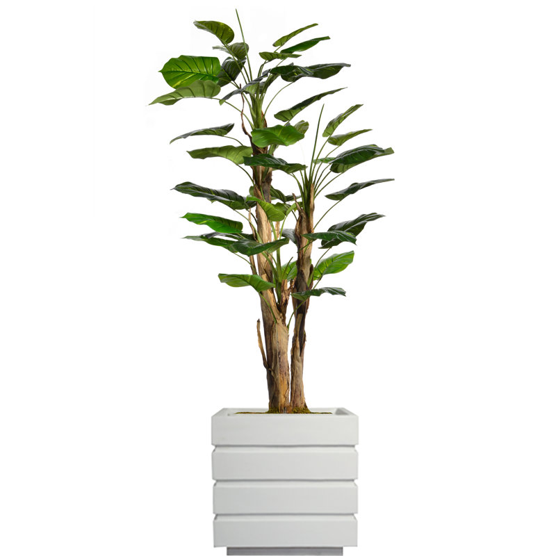 Arbre à fleurs artificiel en pot 66 po Panama Aureus, Blanc