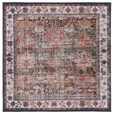 Pashen Performance Machine Washable Oriental Rug