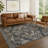 Machine Washable Indoor/Outdoor Chantille ACN2794 Global Rug-1555333080-1555333085