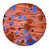 Orange/Blue