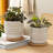 Ceramic Saucer Planters With Textured Circular Design, Durable Modern Accent Planter Pots, Contemporary Style Containers For Indoor Decor, Set Of 2-913906409