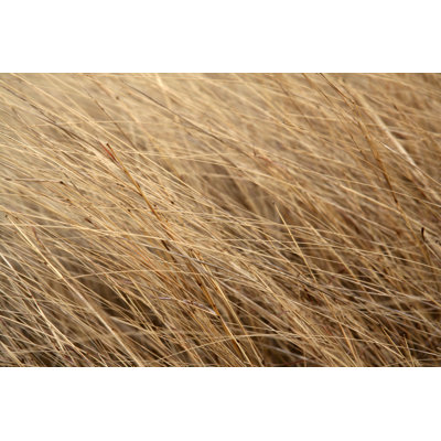 Hautes herbes par Sdi Productions
