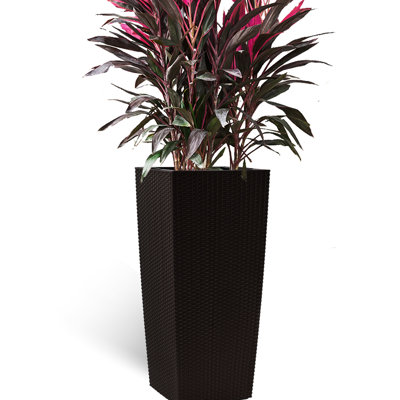 Pots à fleurs 30 po avec arrosage automatique, plateaux intérieurs, trous de drainage pour le jardin, le patio, les plantes de porche, fait de plastique PP stabilisé aux intempéries dans les grands trous de drainage de la jardinière, moniteur de niveau d'eau