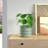 Handmade Ceramic Pot Planter-289530030-289530025