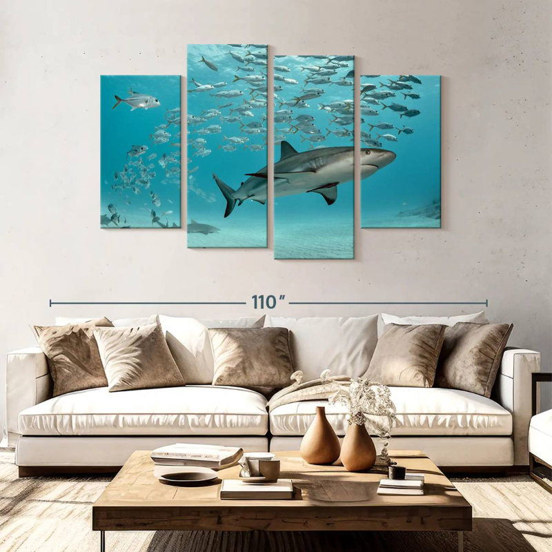 Brampt, poisson et requin des Caraïbes