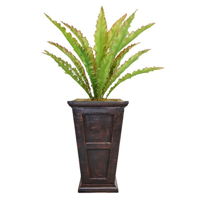 Plante grasse artificielle en pot Faning Aaru