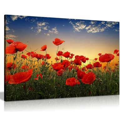 Panther Print Fine Art Prints Red Roses On A Summer's Dawn Artistic Framed Canvas Prints, Pictures For Home Walls, Bedroom, Living Room & Bathroom Decor - Wrapped Canvas Art Prints